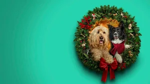 Un Noël au poil !